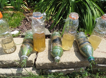 ����̿Ұ���ˮ����